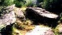 en forêt de Brocéliande