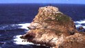 le rocher de Morgane à la pointe du Van